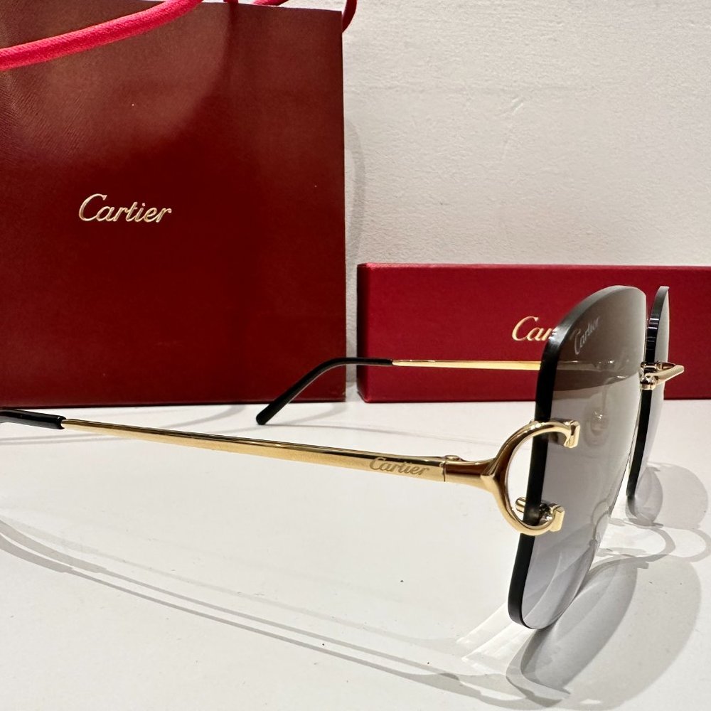 CARTIER CT0037RS